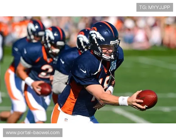 全球橄榄球产业发展报告：北美市场领跑，亚太地区成为增长最快区域