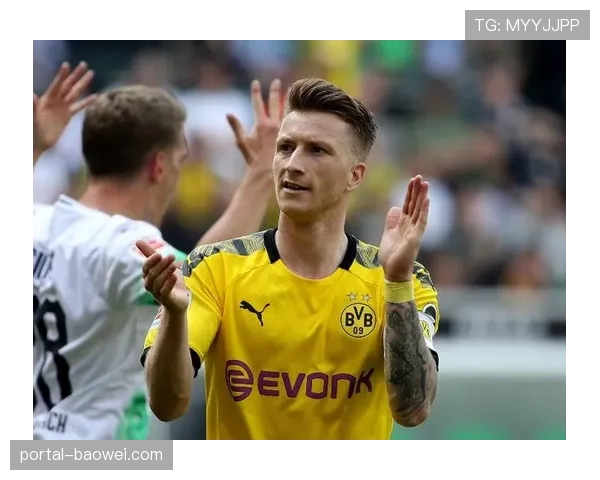 前多特蒙德队长罗伊斯宣布赛季末挂靴